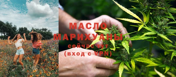 МДПВ Михайлов