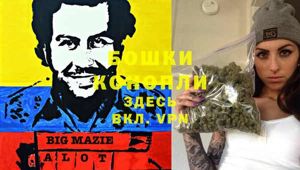 эйфоретик Бородино