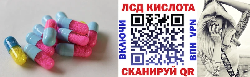 как найти наркотики  Буй  kraken маркетплейс  Лсд 25 экстази ecstasy 